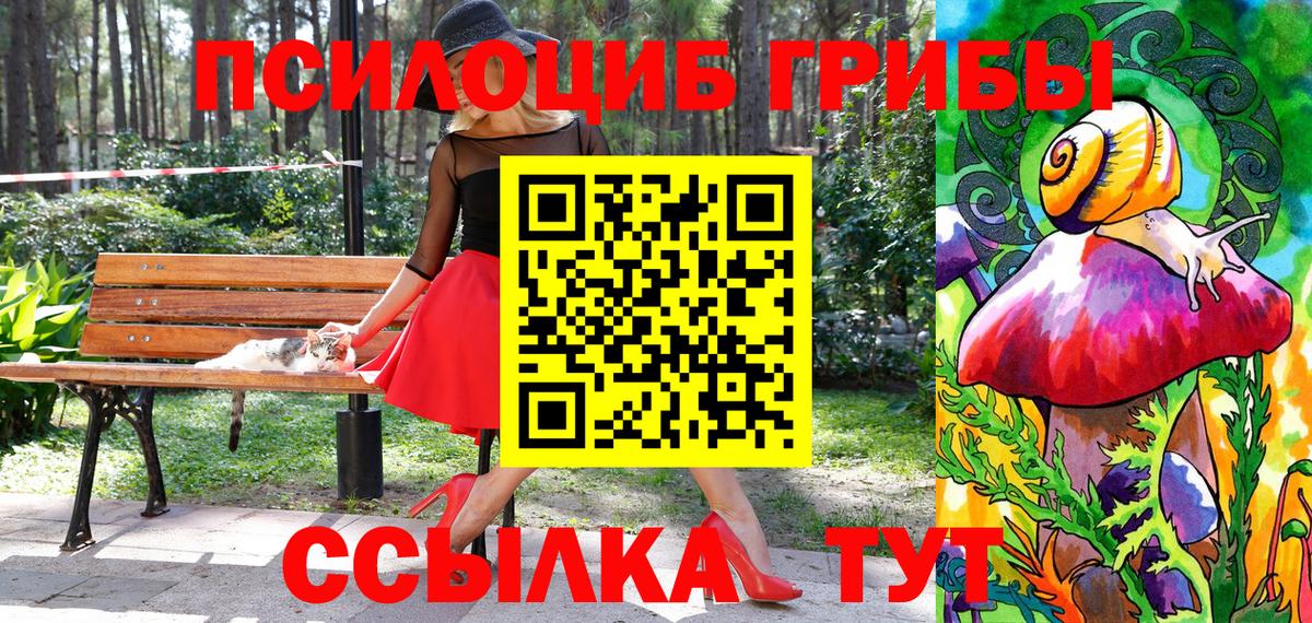 Галлюциногенные грибы Cubensis  Вход с VPN  Ишимбай 